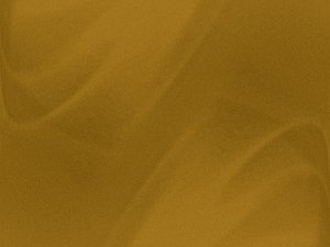 永和縣女鞋有限責任公司