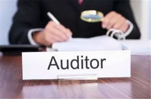 互聯(lián)網(wǎng)電子商務(wù)企業(yè)應(yīng)對財報審計風(fēng)險的建議