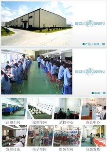 奧康恩的電子商務經營之道 創新、整合與可持續發展