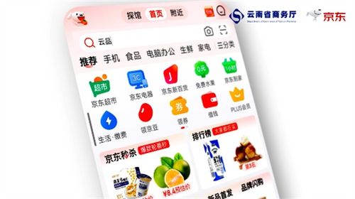 四季云品，產(chǎn)地云南 電商年貨節(jié)盛典啟幕，點(diǎn)燃新春消費(fèi)熱情
